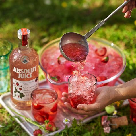 absolut recipes.